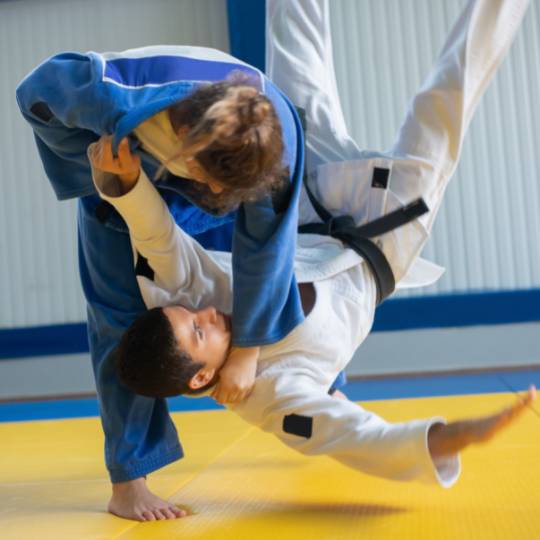 Juegos Olímpicos de Verano de Los Ángeles 2028 - Entradas para la final de judo - 19 de julio de 2028 - JUD10