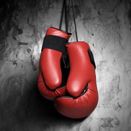 Boxing Tickets | LA 2028 Summer Games